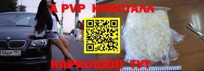 шишки Тара