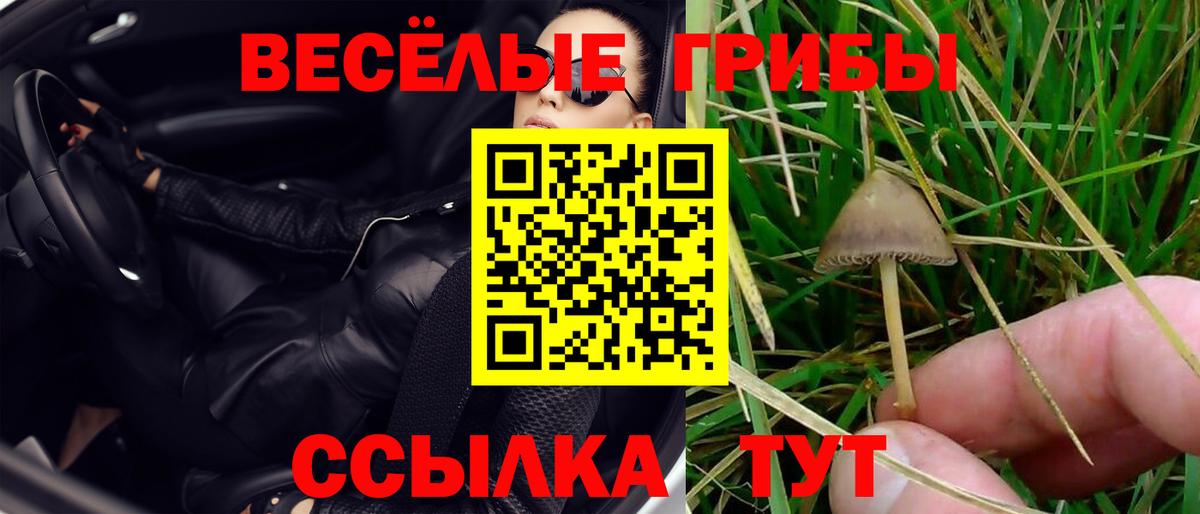 Канабис  Наро-Фоминск  Меф МЯУ МЯУ   Амфетамин   ГАШ  Вход с VPN 
