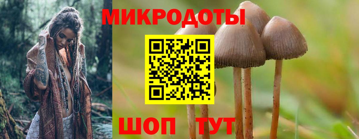 Псилоцибиновые грибы Magic Shrooms Наро-Фоминск